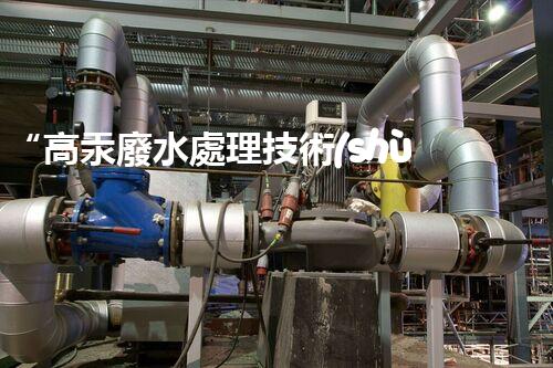 “高汞廢水處理技術(shù)，綠色環(huán)保新篇章”